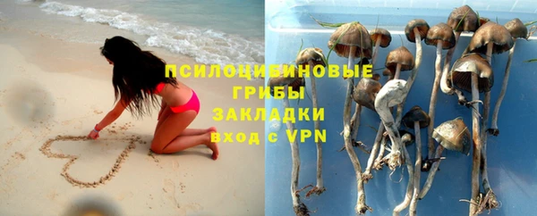 амф Ростов